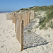 Fence on zone of protected dunes.