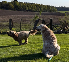 Myrtle and the late Libby