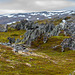 Nach Berlevåg - Sandfjorden