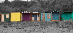 Beach huts at Coldingham Sands