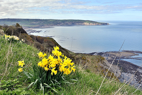 Robin Hood's Bay from Ravenscar Old Peak, North Yorkshire