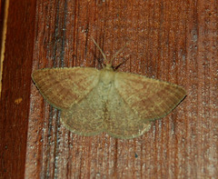 DSC 0360a