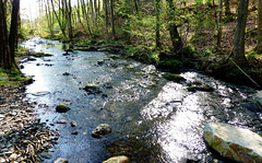 DE - Hürtgenwald - Kall creek at Simonskall