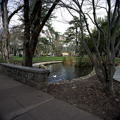 Plaza Pond