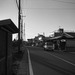 Morning road