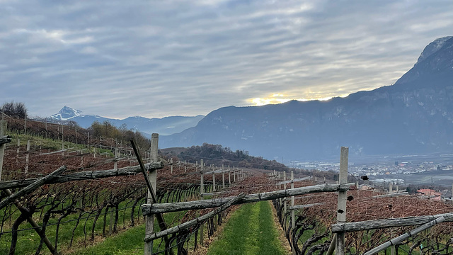 Via ai Paradisi Via ai Paradisi