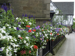 Colourful Fence