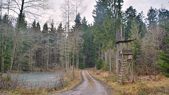 Grünhölzesweg