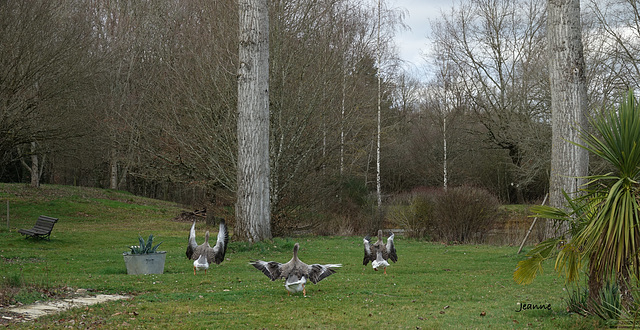 Les gardiennes