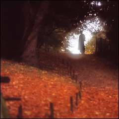 ֎ — Impression d'automne aux Buttes-Chaumont