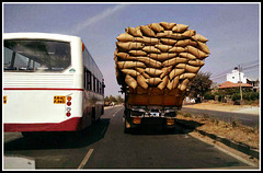 A quick brown truck overtook the lazy KSRTC bus...