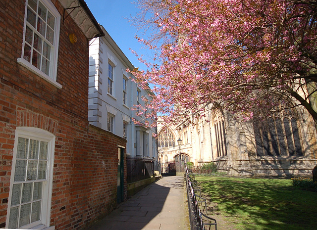 Churchyard walk, Newark on Trent, Nottinghamshire.