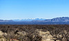 Chiricahua Mountains In The Distance