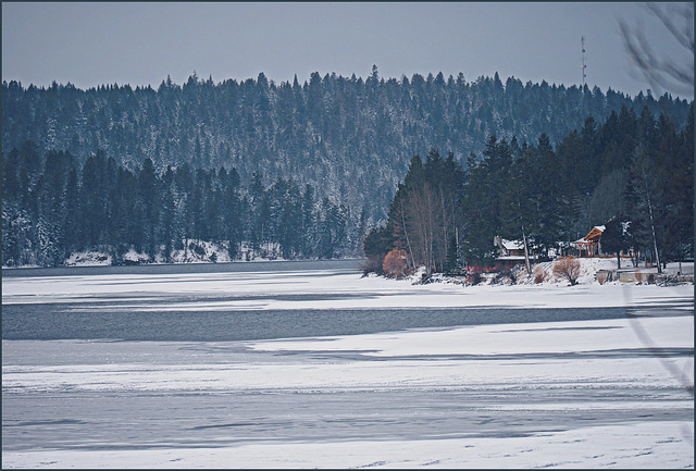 Grey morning at the lake.