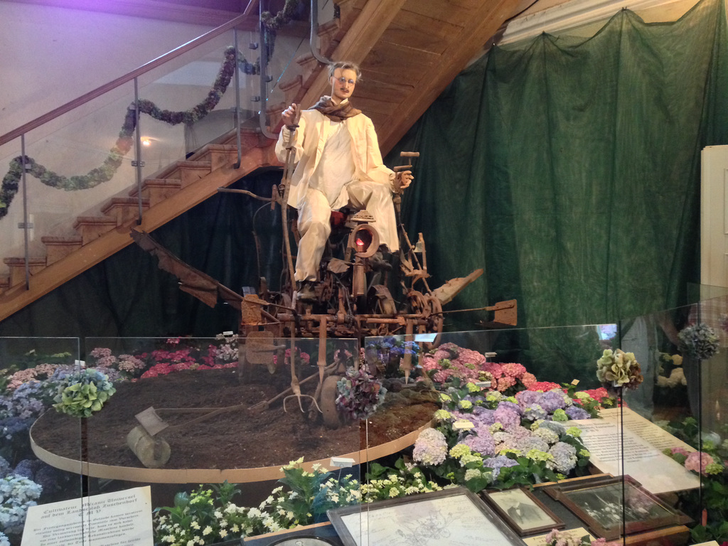 Hortensienschau Zuschendorf