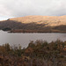 Loch Shiel Viewpoint 1