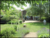 library garden