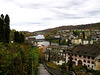 Blick auf den Rhein, er ist gut gefüllt.