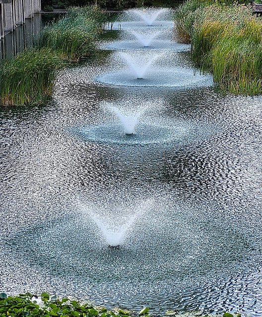 Fountains