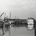 Harbor 3 Harbor 3