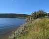 Wild shore / Rivage sauvage