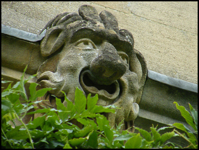 St John's College grotesque