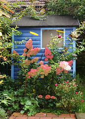 Vor dem kleinen blauen Gartenhaus