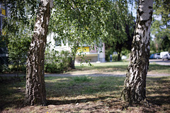KR608483©IngoKrehl