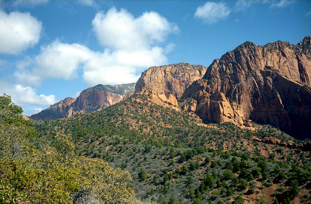 Zion Kolob Canyon