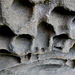 Weathered and worn in life and death. Details from a Gravestone