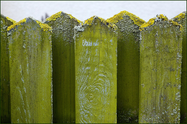 Flechtendächer Flechtendächer