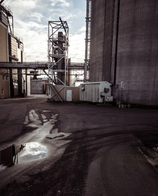 A reflection in the puddle