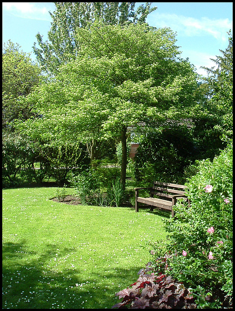 seat in the library garden