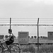 Barbed wire fence