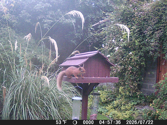 oaw[rsq] - Visit A : 22 Jul 2026 { 1 of 14 }