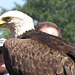 FREEDOM, Mascot for the Georgia Southern University (Statesboro, Georgia)  visiting in our town for a special ocassion