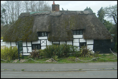 Fordingbridge thatch