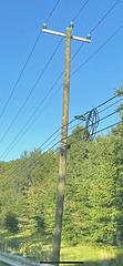 EVERSOURCE 22.9/13.2kV Y POLE