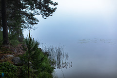 Sjön Åstjärnen