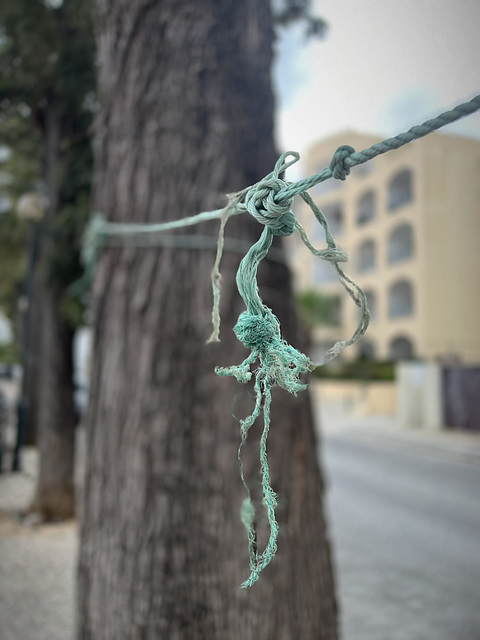 Monte Gordo, blue rope…