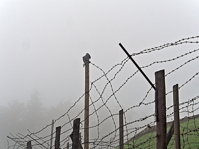 Natzweiler