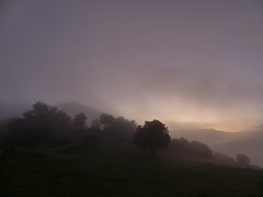 20241013 Rando Col de Bes (Cévennes) (120)