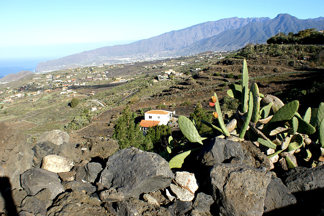 Von Los Llanos nach Süden. Neue Häuser in alter Lava. ©UdoSm