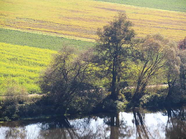 Felder am Naabufer