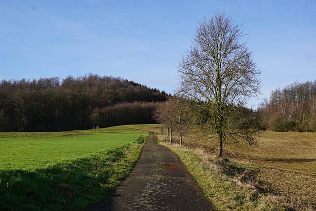 Weg in den "Krücker"