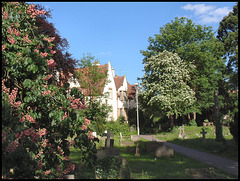 churchyard in spring