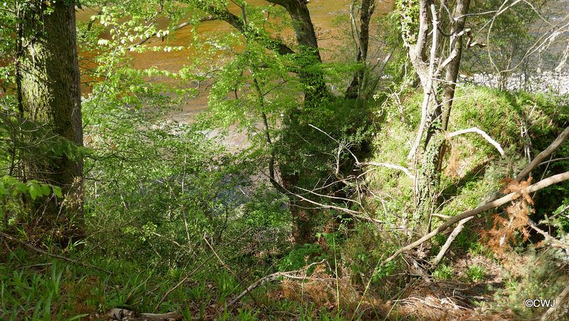 Views along the edge of the River Findhorn from the Sluie Walks' Loops on the Earl of Moray's Estate.