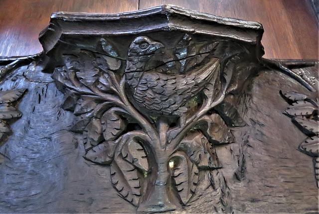 boston church,lincs (77)c14 misericord bird in tree