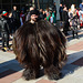 Bulgaria, Blagoevgrad, Participant of the Carnival "Procession of the Kukers" in the Folklore Suit