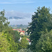 Nebel im Maintal